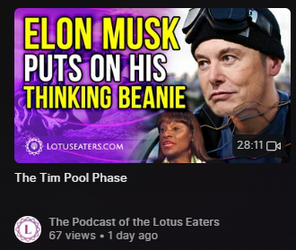 Elon Pool.png