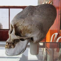 AncientAlien.jpg