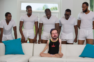 Piperkieta.png
