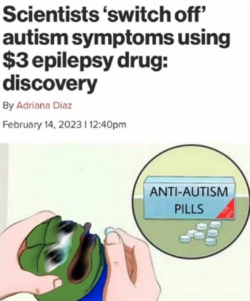 16953218365825481_webp.png