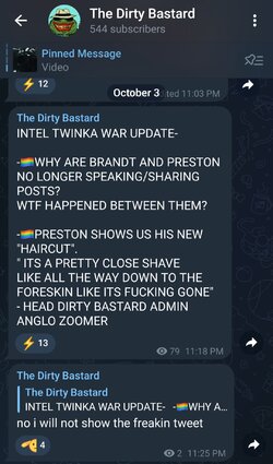 joetheboomer_brandt_inteltwinka2.jpg