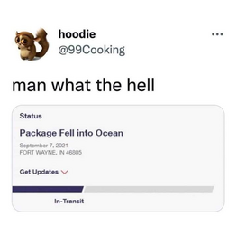 YP3M06Bl.png
