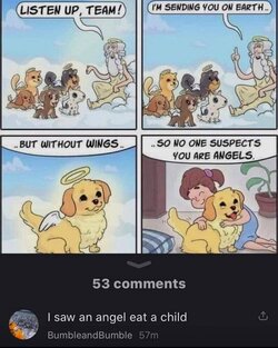 F7Z4qaKWkAAkj3T.jpg