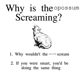 Pippossum.png