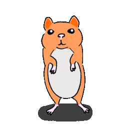 Ham-Base.gif
