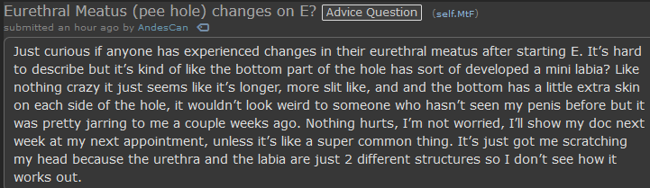 pissslit.png