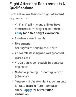 flight attendant.jpg