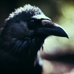 IMG_3085.jpeg