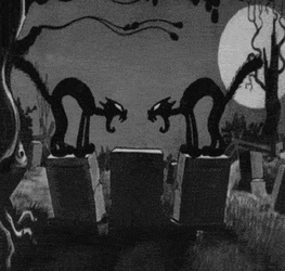 C20A48B1-1D7D-4E66-94E6-226AC22043FF.gif