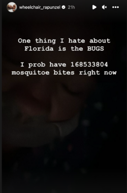 wr_08.png