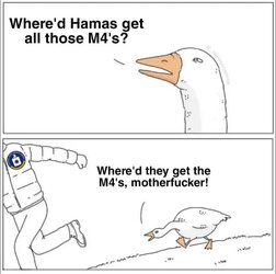 1000002257.jpg