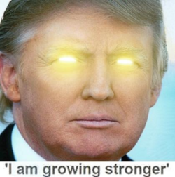 1696902732901.png