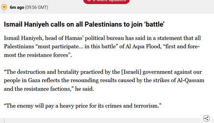 haniyeh.png