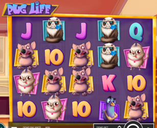 rats everywhere.png