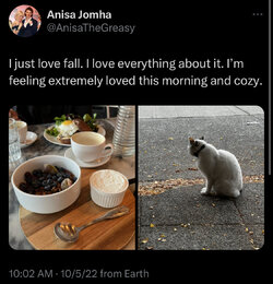 781A53D0-D128-400C-A26D-7D3A31D1CB54.jpeg