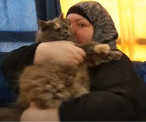 poorcat.jpg