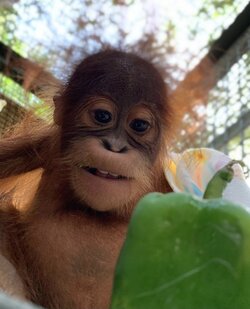 IMG_8247.jpeg