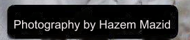 casualty text eng.png