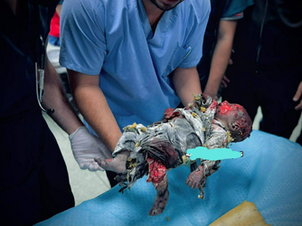 gaza.png