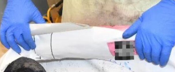 gloves2.jpg