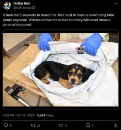 puppy1.jpg