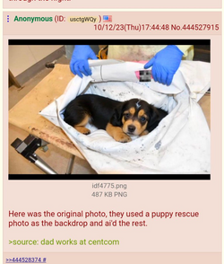 1697167847691.png