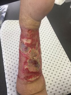 week-6-3.jpg