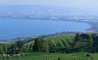 Kinneret_cropped.jpg