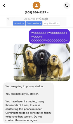 1697248499927.png