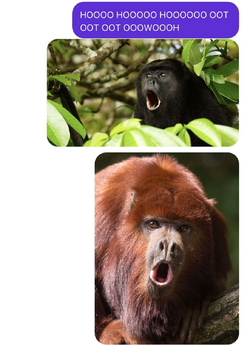 1697248507854.png