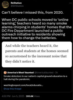 IMG_5481.jpeg