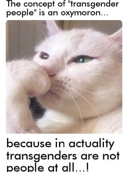 transgender oxymoron .jpg