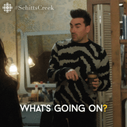 1697266224432.gif
