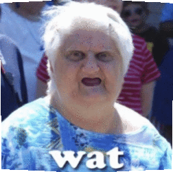 1697266627581.gif