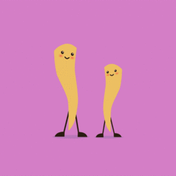 giphy.gif