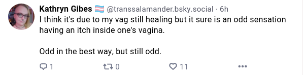 1697273286575.png