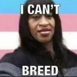 1697281763739.png