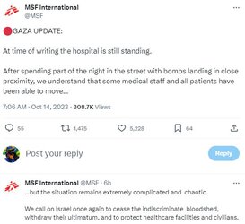 MSF3.JPG
