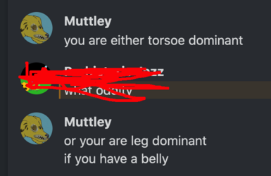 torsoe_or_leg.png