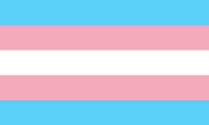 512px-Transgender_Pride_flag.svg.png