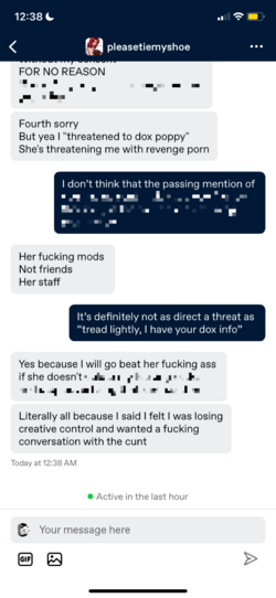 Courtneyinformantcensored5.png