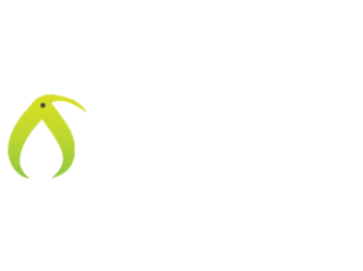 1697431865975.png