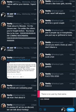 vanity2.png