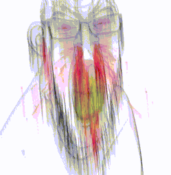 1694922999692.gif