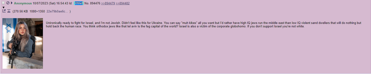 moe nigger wants to die for israel because he likes cooming to IDF propaganda.png