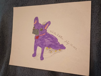 24.png