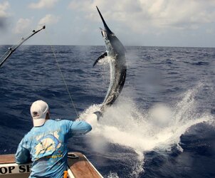 big-game-fishing.jpg