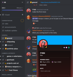 f1nn-in-server.png