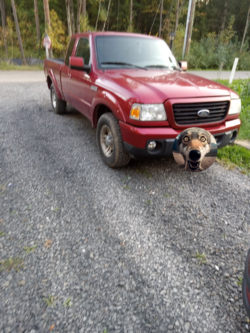 1697683252866.png 1697683252866.png