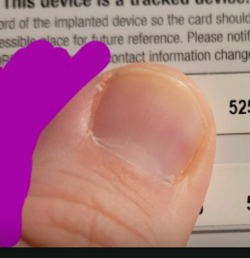 88.PNG